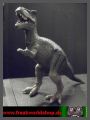 Dinosaurier - Tyrannosaurus Rex