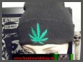 Wollmtze - Cannabis