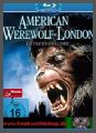 American Werewolf - FULL UNCUT - Bluray + Wendecover