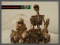 Schneekugel mit Schdelhaufen Skulls & Bones - Version B
