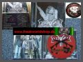 Vellozet - Sturmkommando