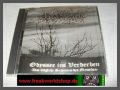 Odium Immortalis - Odyssee Ins Verderben