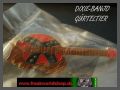 Pin - Dixie Banjo Grteltier
