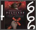 Polycarp - UNCUT