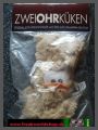 Zweiohrkken - Schlsselanhnger
