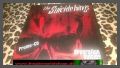 The Suicide Kings - Generation Suicide - Promo CD