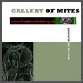 Gallery of the Mites - Bugs on the Bluefish